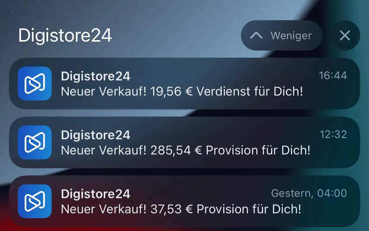 Digistore24 Einnahmen (Webpirat)